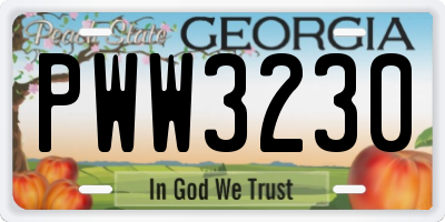 GA license plate PWW3230