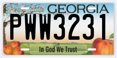 GA license plate PWW3231