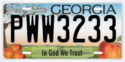 GA license plate PWW3233