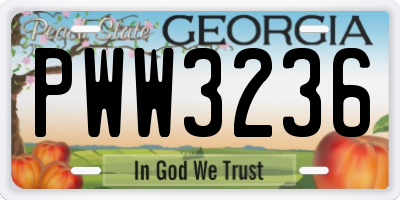 GA license plate PWW3236