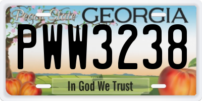 GA license plate PWW3238