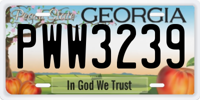 GA license plate PWW3239