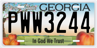 GA license plate PWW3244