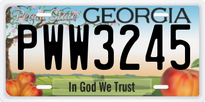 GA license plate PWW3245