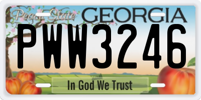 GA license plate PWW3246