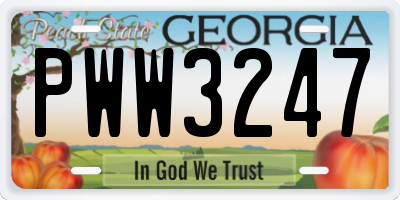 GA license plate PWW3247