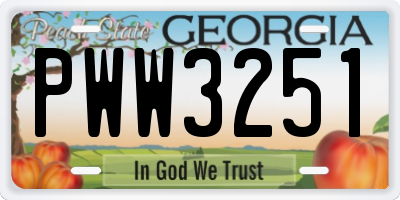 GA license plate PWW3251