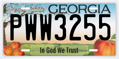 GA license plate PWW3255