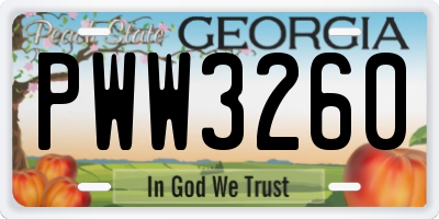 GA license plate PWW3260