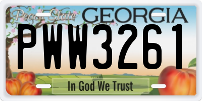 GA license plate PWW3261