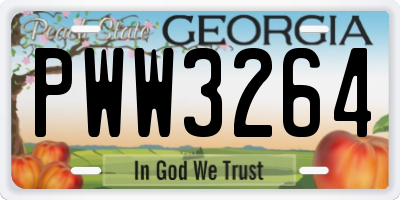 GA license plate PWW3264