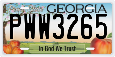 GA license plate PWW3265