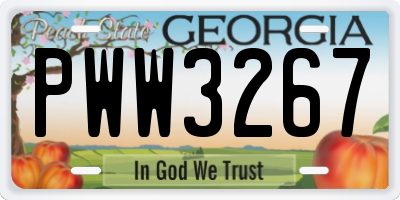 GA license plate PWW3267