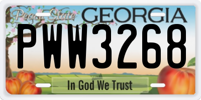 GA license plate PWW3268
