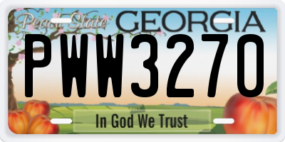 GA license plate PWW3270