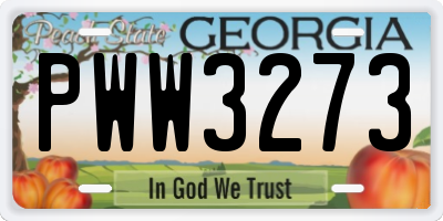 GA license plate PWW3273