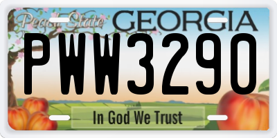 GA license plate PWW3290