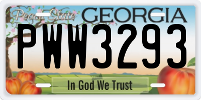 GA license plate PWW3293