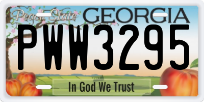 GA license plate PWW3295