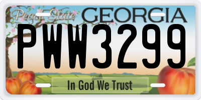 GA license plate PWW3299