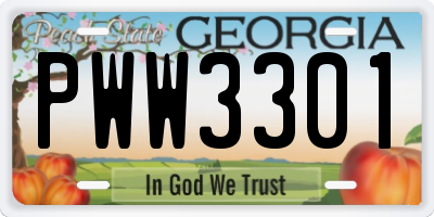 GA license plate PWW3301