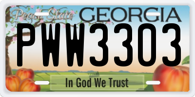GA license plate PWW3303