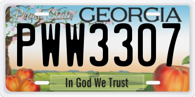 GA license plate PWW3307