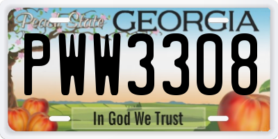 GA license plate PWW3308