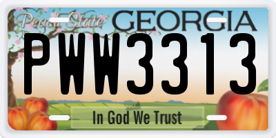 GA license plate PWW3313