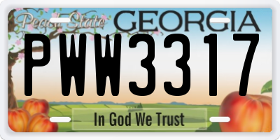GA license plate PWW3317