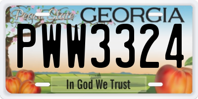 GA license plate PWW3324