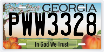 GA license plate PWW3328