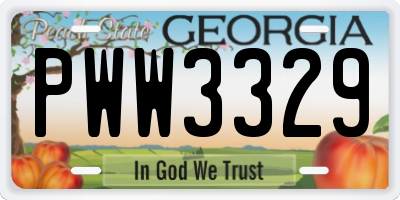 GA license plate PWW3329