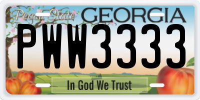 GA license plate PWW3333