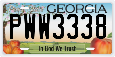 GA license plate PWW3338