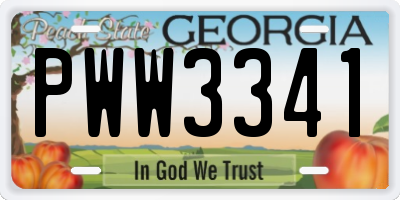 GA license plate PWW3341