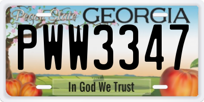GA license plate PWW3347
