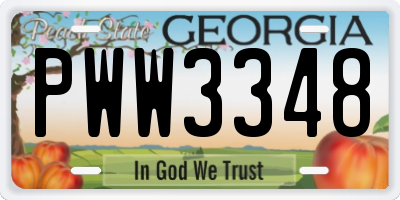 GA license plate PWW3348