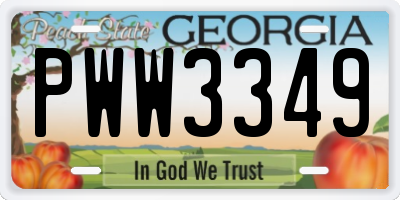 GA license plate PWW3349