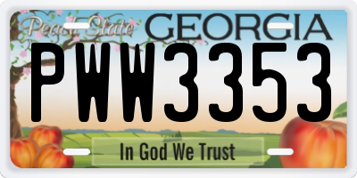 GA license plate PWW3353