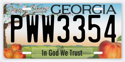 GA license plate PWW3354