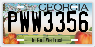 GA license plate PWW3356
