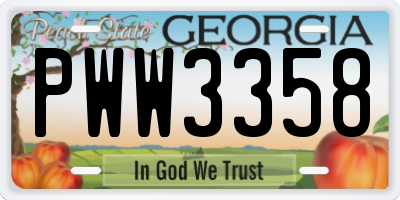 GA license plate PWW3358
