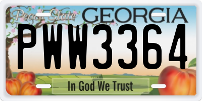 GA license plate PWW3364