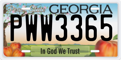 GA license plate PWW3365