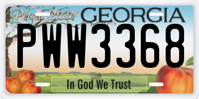 GA license plate PWW3368