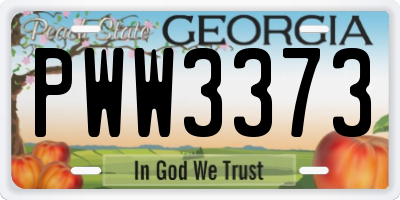 GA license plate PWW3373