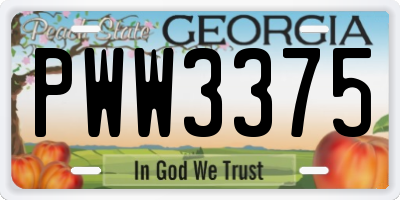 GA license plate PWW3375