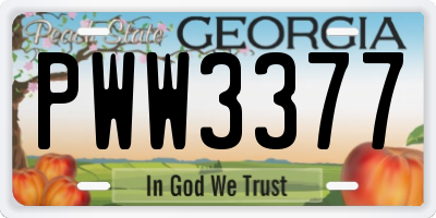 GA license plate PWW3377