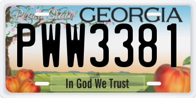 GA license plate PWW3381